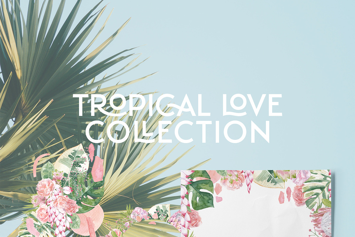 Tropical Romance modern floral rose, an Illustration by January Bloom (Photo 18 of 29)