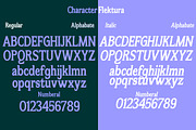 Flektura, a Serif Font by Propertype (Thumbnail 8 of 10)