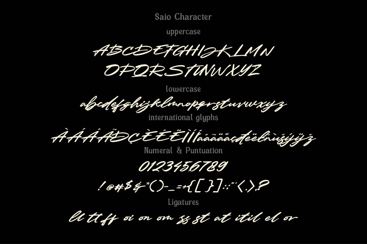 Saio - Signature Font, a Script Font by Olexstudio (Photo 7 of 10)