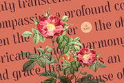 CS Blair – Art Nouveau Font, a Serif Font by Craft Supply Co. (Thumbnail 6 of 8)
