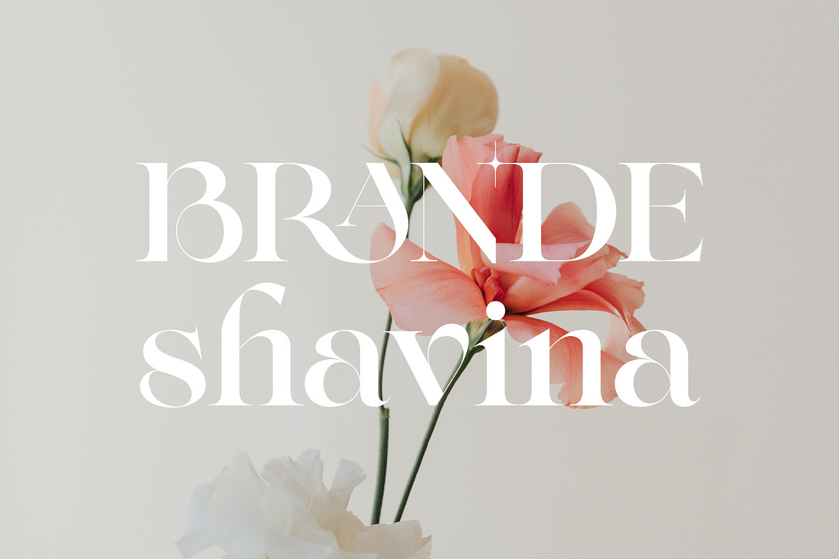 NY Glamour Authentic, a Serif Font by NYDESIGN (Photo 6 of 10)