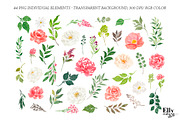 Watercolor Floral Graphic Set, an Illustration by Elly Studio (Thumbnail 9 of 10)
