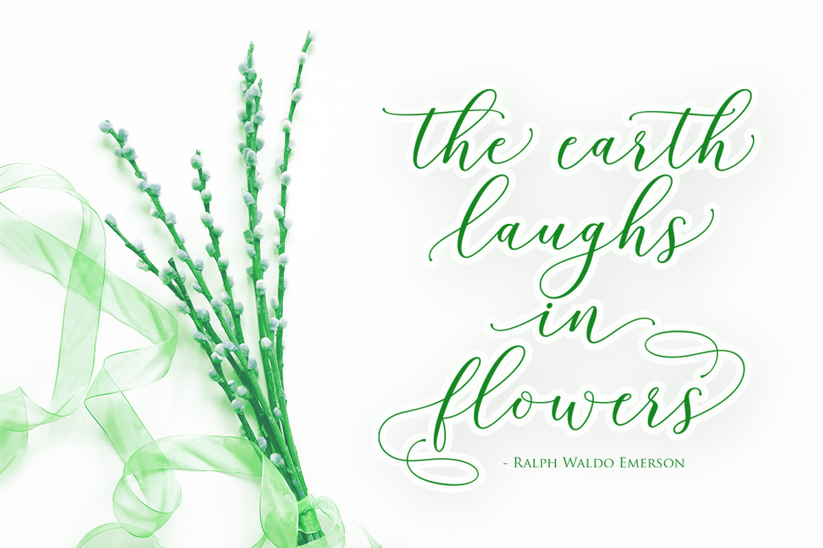 Honduras Script, a Script Font by Gatype (Photo 2 of 7)