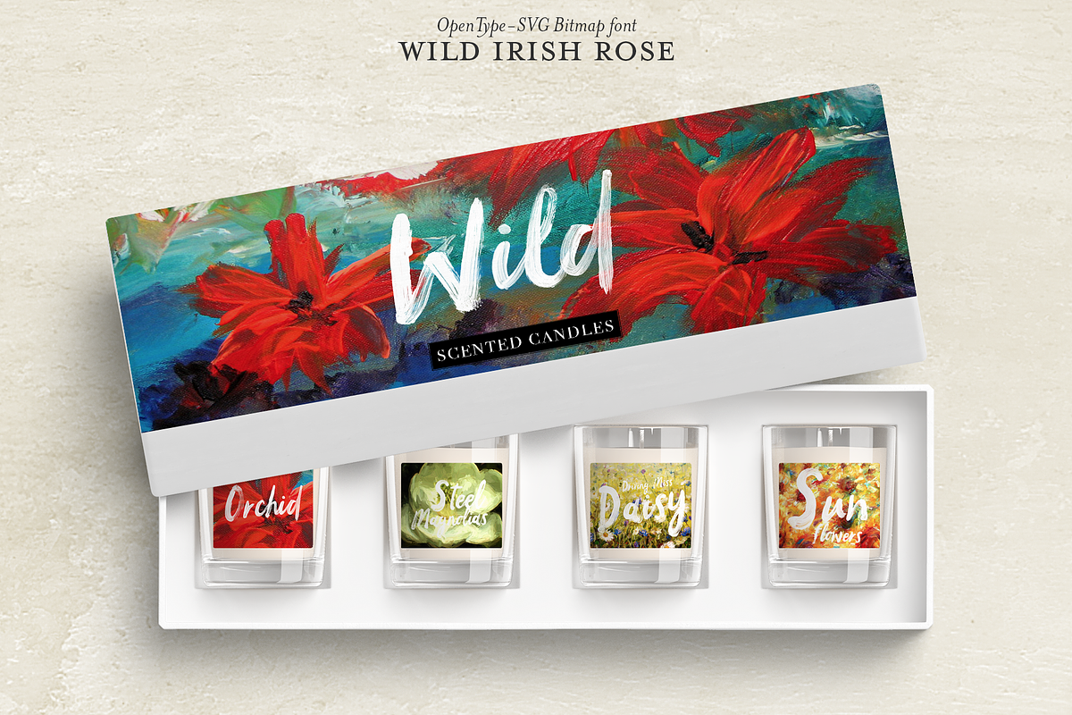Script font Wild Irish Rose, a Script Font by Itsmesimon (Photo 19 of 25)