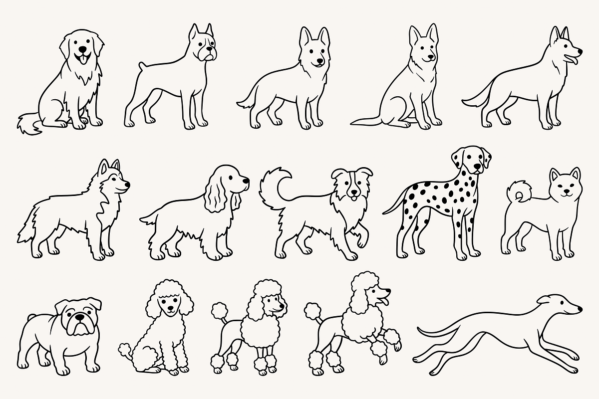Cute Dog Breed Line Art illustration, an Animal Illustration by Kusumaillustration (Photo 5 of 7)
