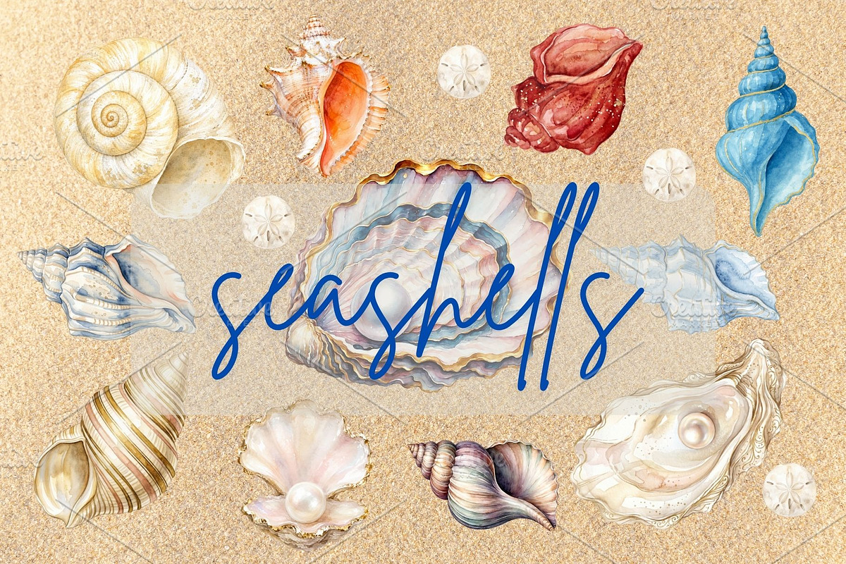 Watercolor seashells clipart, an Object Graphic by My Creative Corner (Photo 2 of 3)