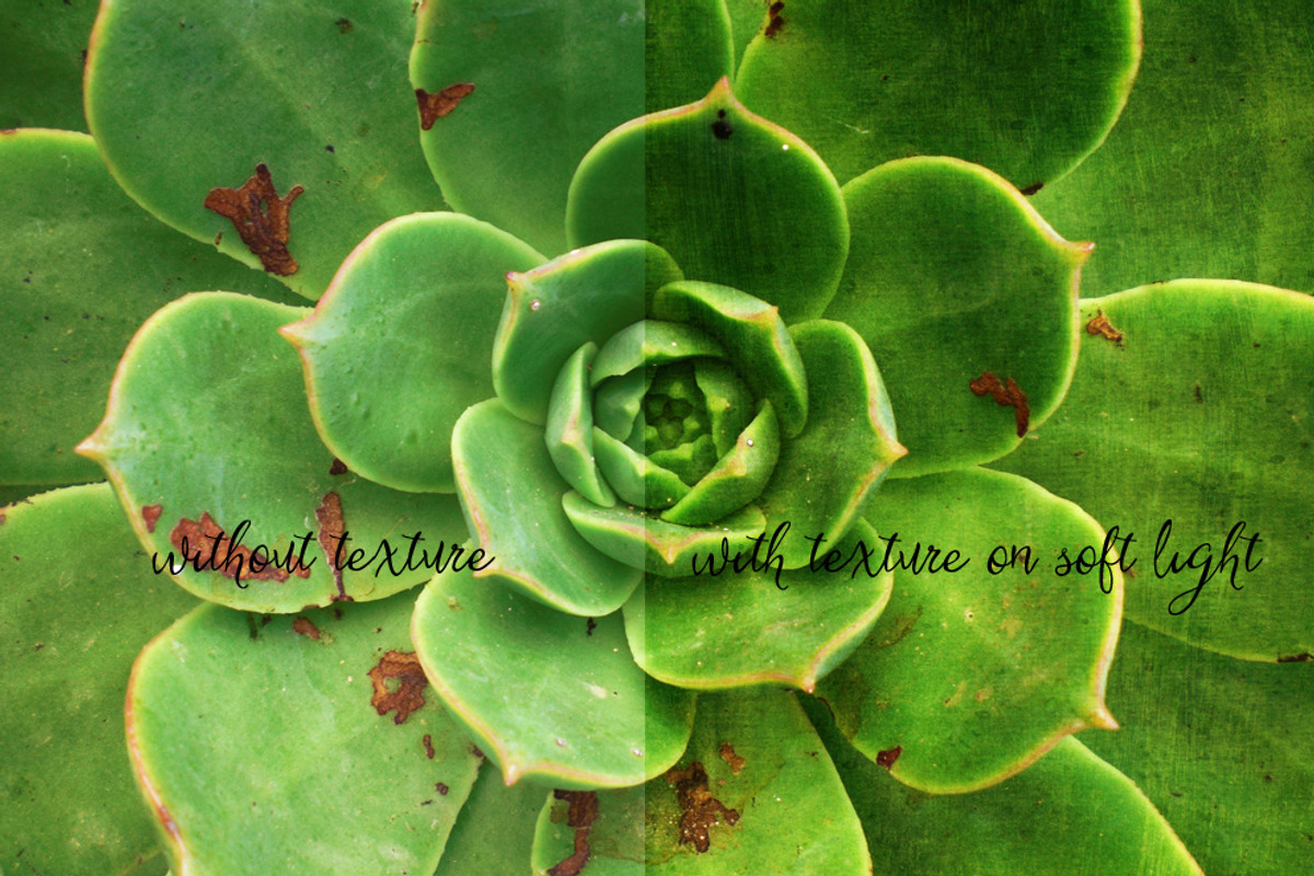 Brushed Digital Art Textures, a Texture Graphic by Alegreya (Photo 3 of 5)