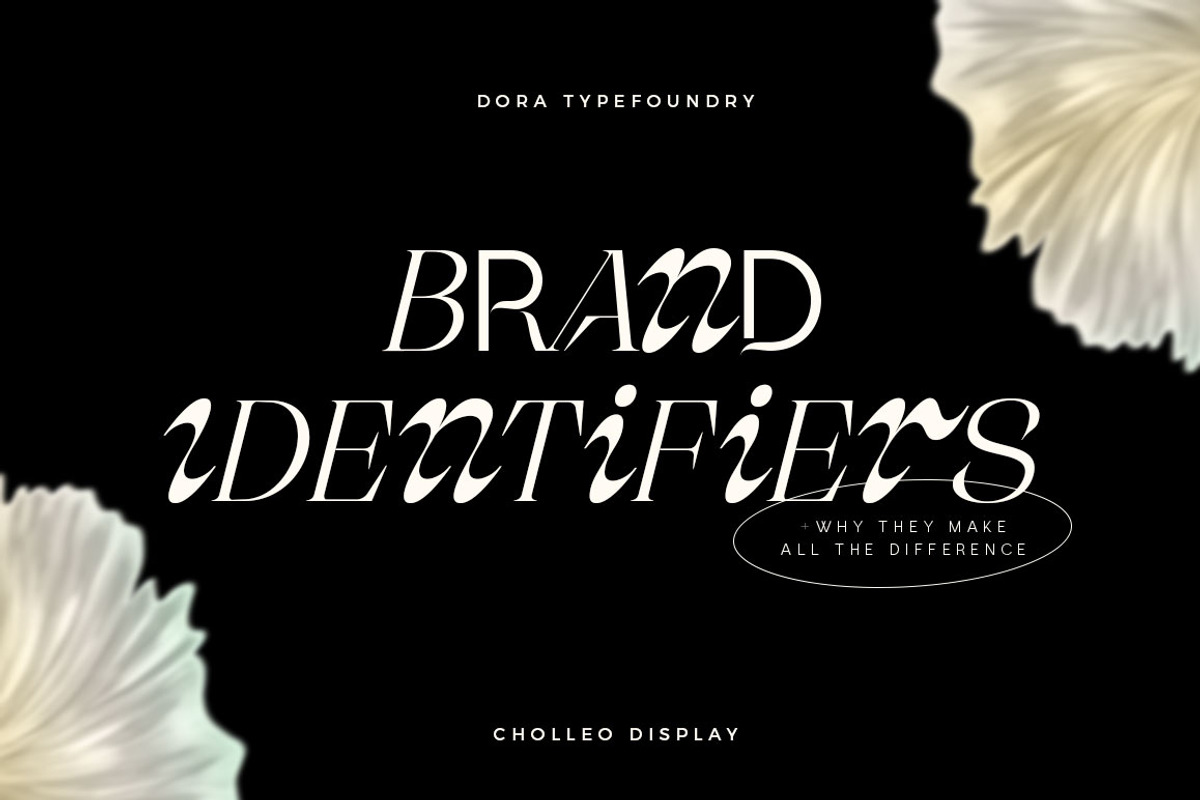 Cholleo Display, a Serif Font by Dora Typefoundry (Photo 9 of 18)