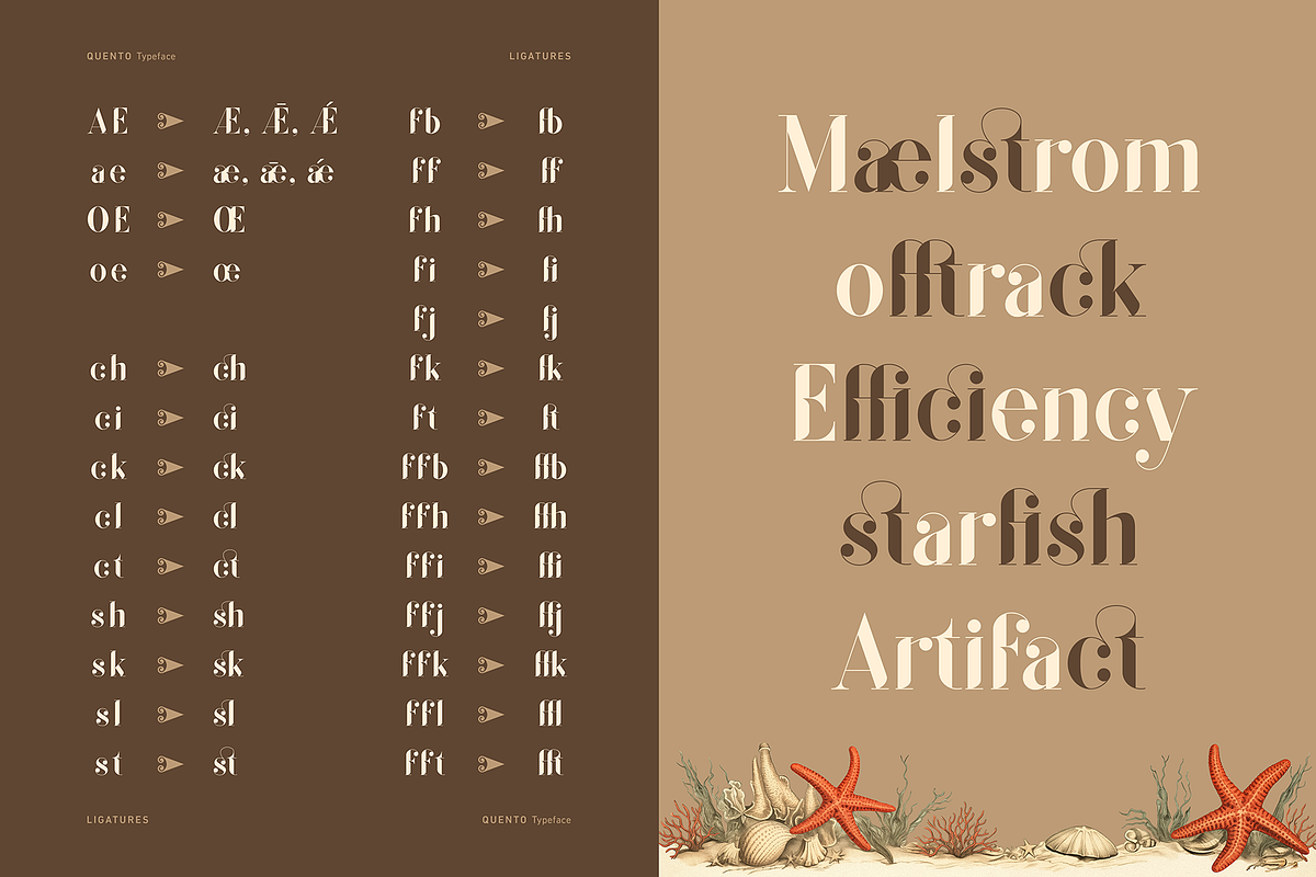 QUENTO | Modern Serif Display Font, a Serif Font by Glyph44 (Photo 9 of 16)