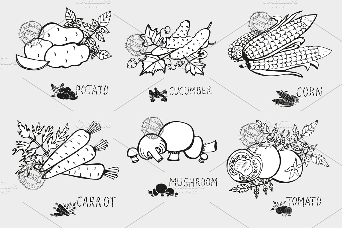 Vegetables Set(1), a Food Illustration by Sunset&Sea Design