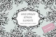 Hand Drawn Botanical Elements, a Decorative Illustration by Pixavics (Thumbnail 1 of 11)