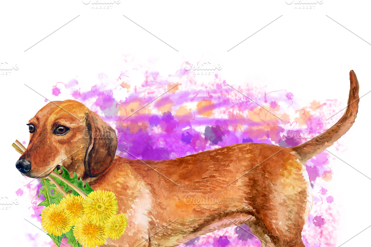 Watercolor Dogs Mega Big Bundle, an Illustration by Dneprstock (Photo 21 of 60)