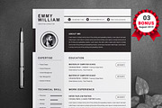 Resume/CV Bundle | 200+ for $29, a Resume Template by ResumeInventor (Thumbnail 70 of 207)