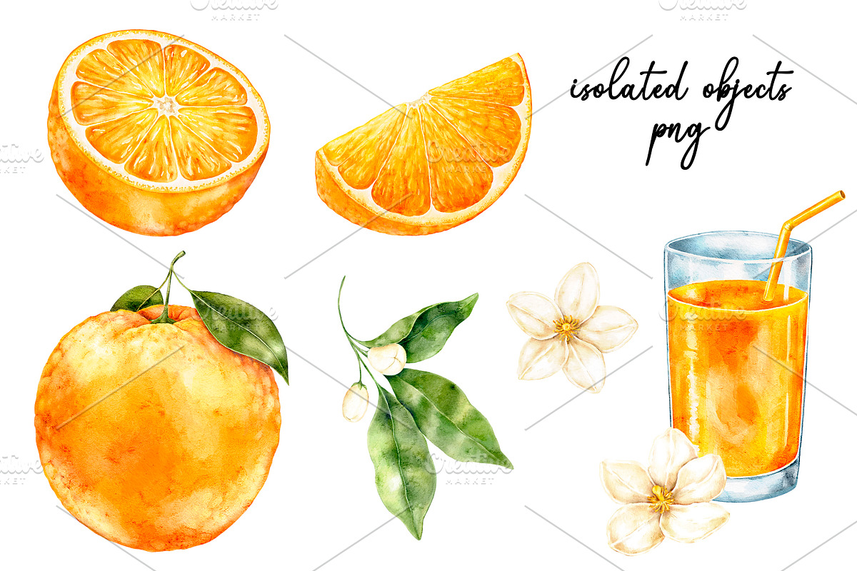 Orange Watercolor Clipart - PNG, a Food Illustration by Eves_Aquadreams (Photo 3 of 11)