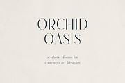 Sorrelia – Elegant Display Serif, a Serif Font by Only Fonts (Thumbnail 4 of 11)