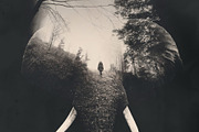 Double Exposure Photoshop Action, an Action Add-On by Sevenstyles (Thumbnail 10 of 21)