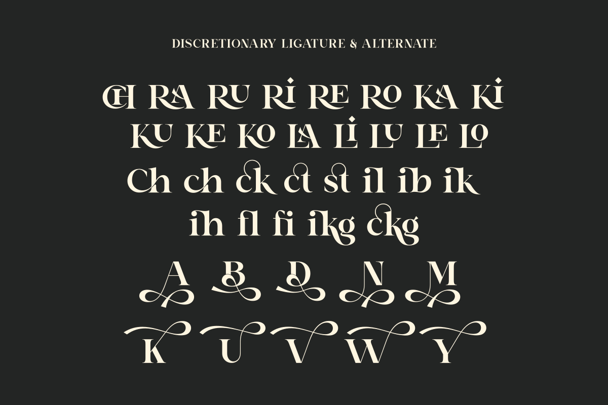 Chafira, a Serif Font by Zafiratype (Photo 9 of 10)