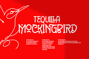 Brigend Font, a Sans Serif Font by Grontype (Thumbnail 8 of 9)
