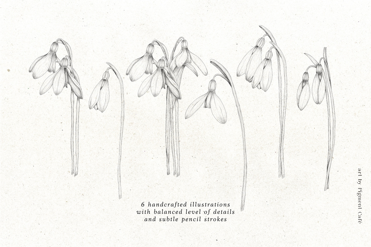 Snowdrop Flowers & Card Templates, an Illustration by Pigment Café (Photo 5 of 8)