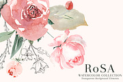 RoSA - Floral Clipart, an Illustration by The Autumn Rabbit Ltd (Thumbnail 7 of 14)