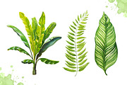 Watercolor tropical leaves set#2., a Decorative Illustration by AlexGreenArt (Thumbnail 5 of 7)