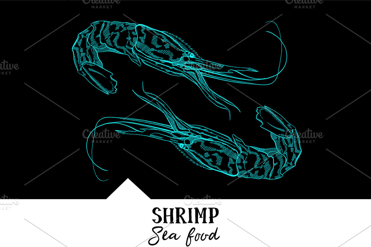 10 vector hand-drawn sea creatures, a Brochure Template by RichmanStudio (Photo 9 of 11)