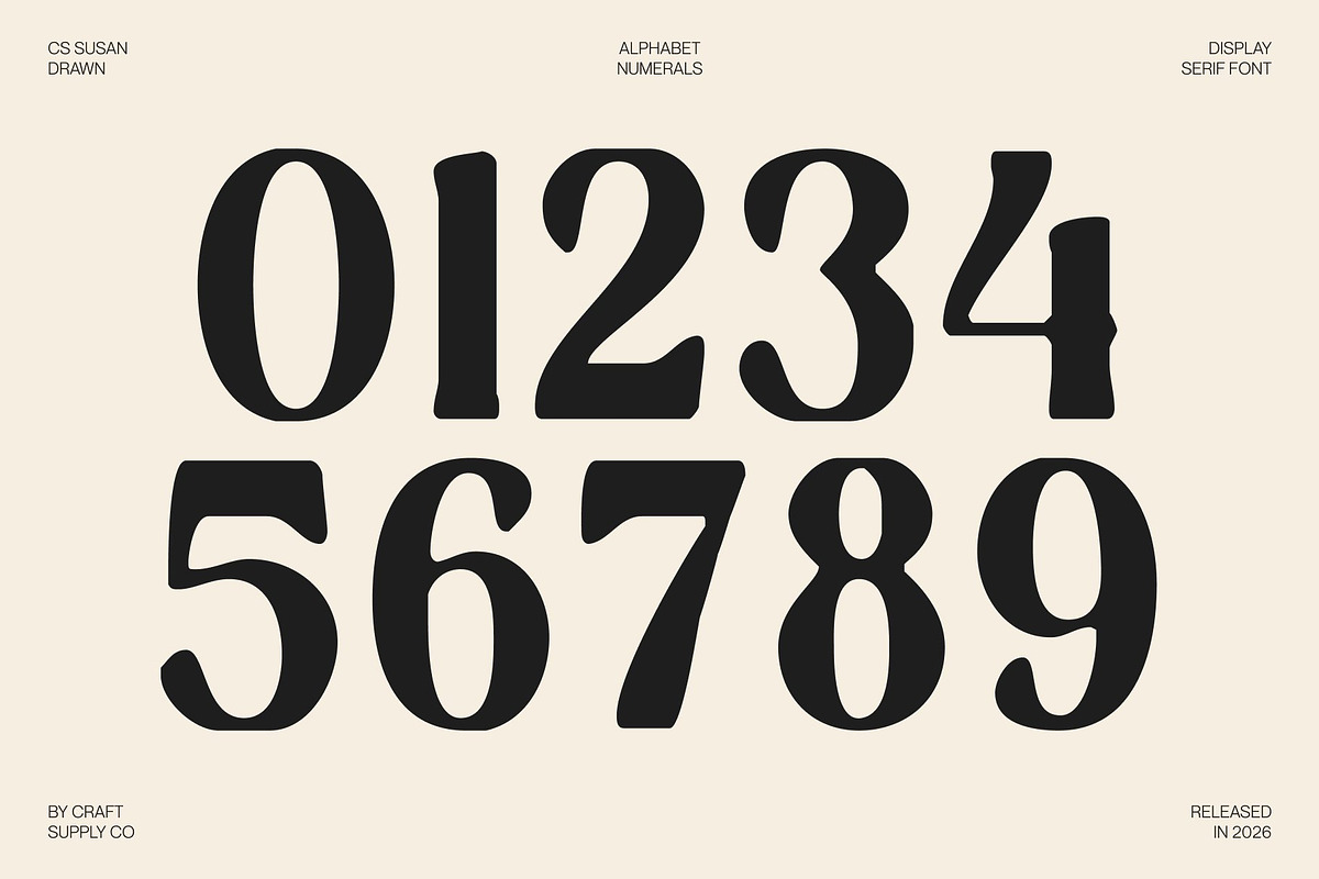 CS Susan Drawn, a Serif Font by Craft Supply Co. (Photo 6 of 8)