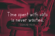 Sleepy Tiger - Font Duo, a Sans Serif Font by 3ora (Thumbnail 7 of 7)