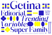 Getina Serif Super Family 243 Fonts, a Serif Font by IM Studio (Thumbnail 10 of 12)