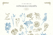 Aesthetics Flower | Illustration Kit, a Decorative Illustration by KetteCreate (Thumbnail 5 of 19)