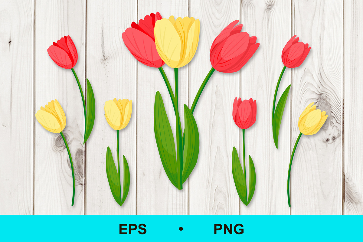 Tulip Flowers Vector Clip Art, a Decorative Illustration by Elena Nesterova