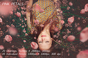 5K Petals Overlays, an Object Graphic by ArtPlanet (Thumbnail 3 of 12)