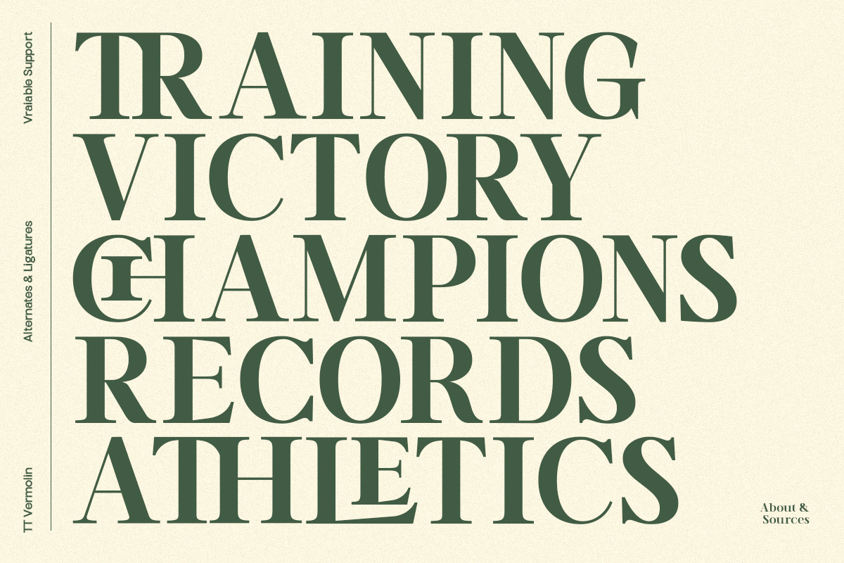 TT Vermolin — Modern Classy Serif, a Serif Font by truetype (Photo 7 of 15)