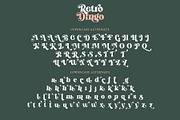 Retro Dingo - Modern Vintage Serif, a Serif Font by Airotype (Thumbnail 11 of 12)