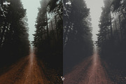 15 Fog Lightroom Presets, a Preset Add-On by CVR Presets (Thumbnail 4 of 6)