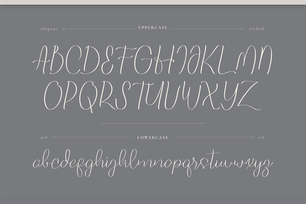 Five Liquor Script Handwritten, a Script Font by infernostudio3 (Photo 10 of 15)