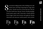 Famosa Core Edition, a Serif Font by TypeThis!Studio (Thumbnail 9 of 11)
