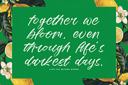 Mindful Angelic Modern Elegant Font, a Script Font by stylishtype.co (Thumbnail 3 of 19)