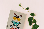 Watercolor Butterflies, a Decorative Illustration by Karliefie (Thumbnail 3 of 5)