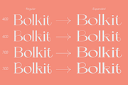 ZT Bolkit - Display Serif, a Serif Font by zelow type (Thumbnail 5 of 15)