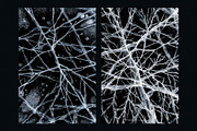 20 Cracked Ice Overlay Frost Texture, a Texture Graphic by smishura (Thumbnail 4 of 4)