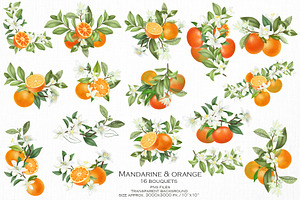 Mandarine & Orange