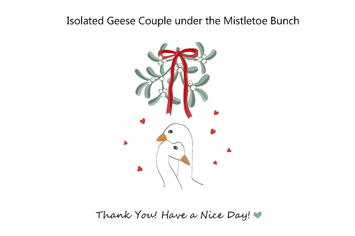Geese under the Mistletoe Set, a Pattern Graphic by Toltemara (Photo 3 of 3)