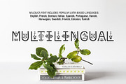 Majolica - Font Family, a Sans Serif Font by Struvictory.art (Thumbnail 7 of 9)