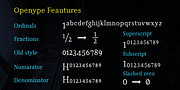 Manas VF, a Serif Font by Fontuma (Thumbnail 7 of 12)