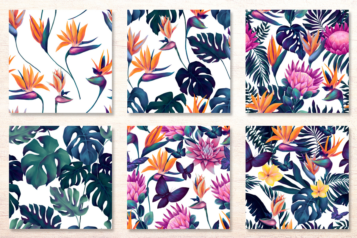 Monstera and Strelitzia watercolor, an Illustration by Salted Galaxy (Photo 10 of 15)