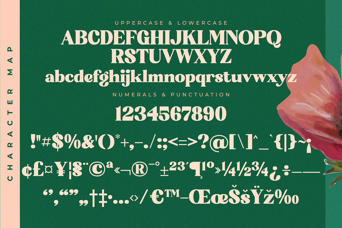 Bright Sunlist Modern Vintage Serif, a Serif Font by Letterena Studios (Photo 13 of 15)