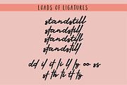 Glitter City Font Trio + Logos, a Script Font by theinkaffair (Thumbnail 7 of 10)