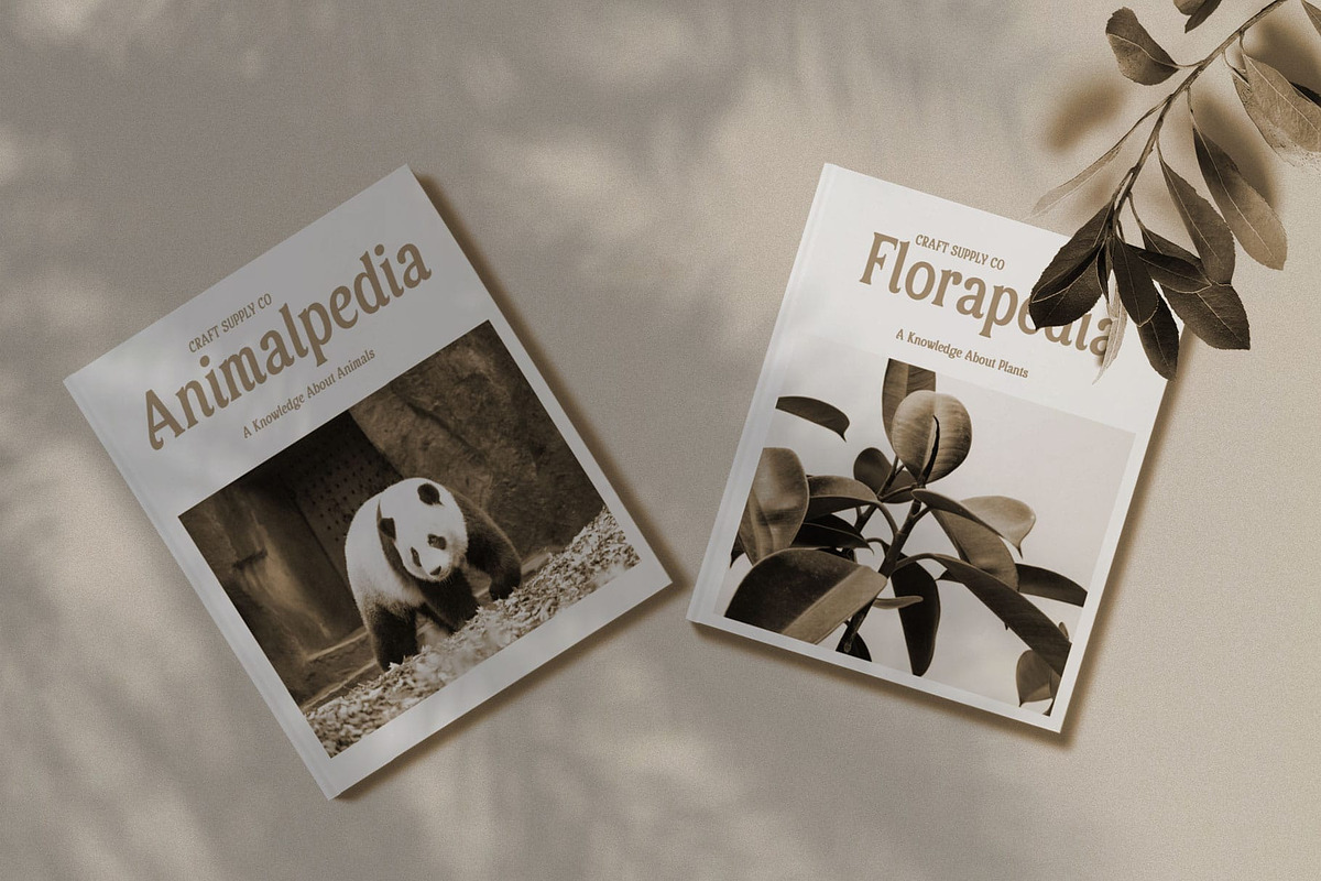 Asvoria – Stylish Serif, a Serif Font by Craft Supply Co. (Photo 5 of 8)