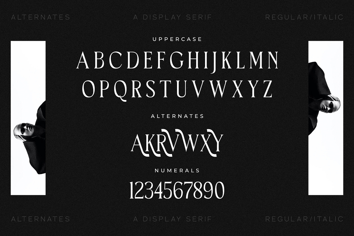 Horge A Display Serif Font, a Serif Font by Storytype Studio (Photo 14 of 16)